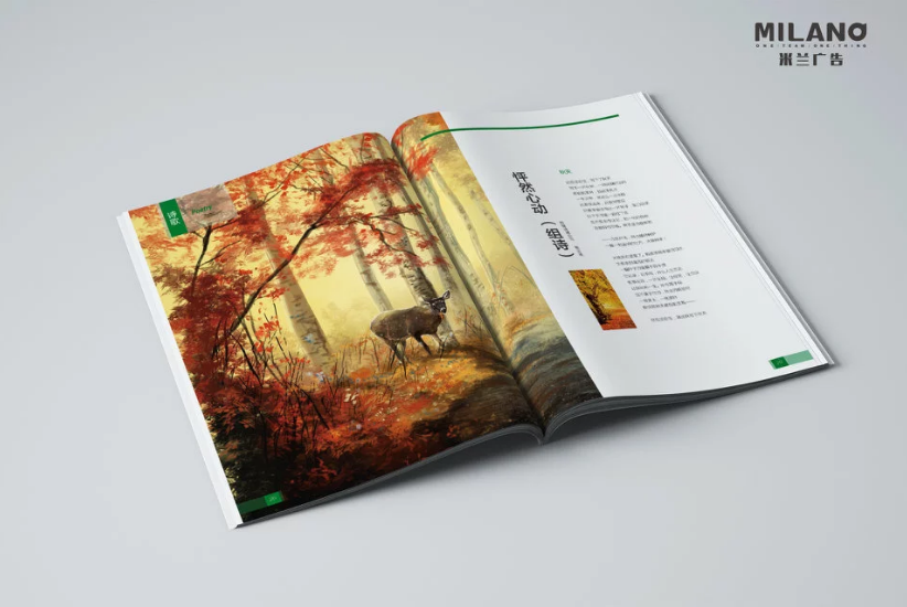 畫(huà)冊(cè)設(shè)計(jì)制作